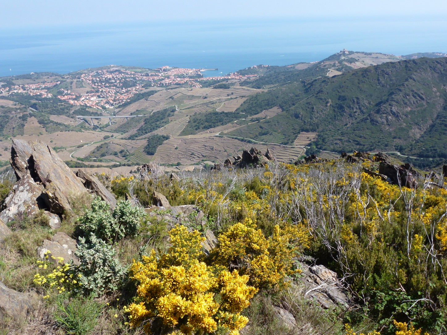 roussillon vue sur collioure