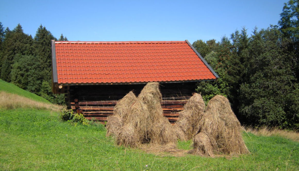 bayern heumandl