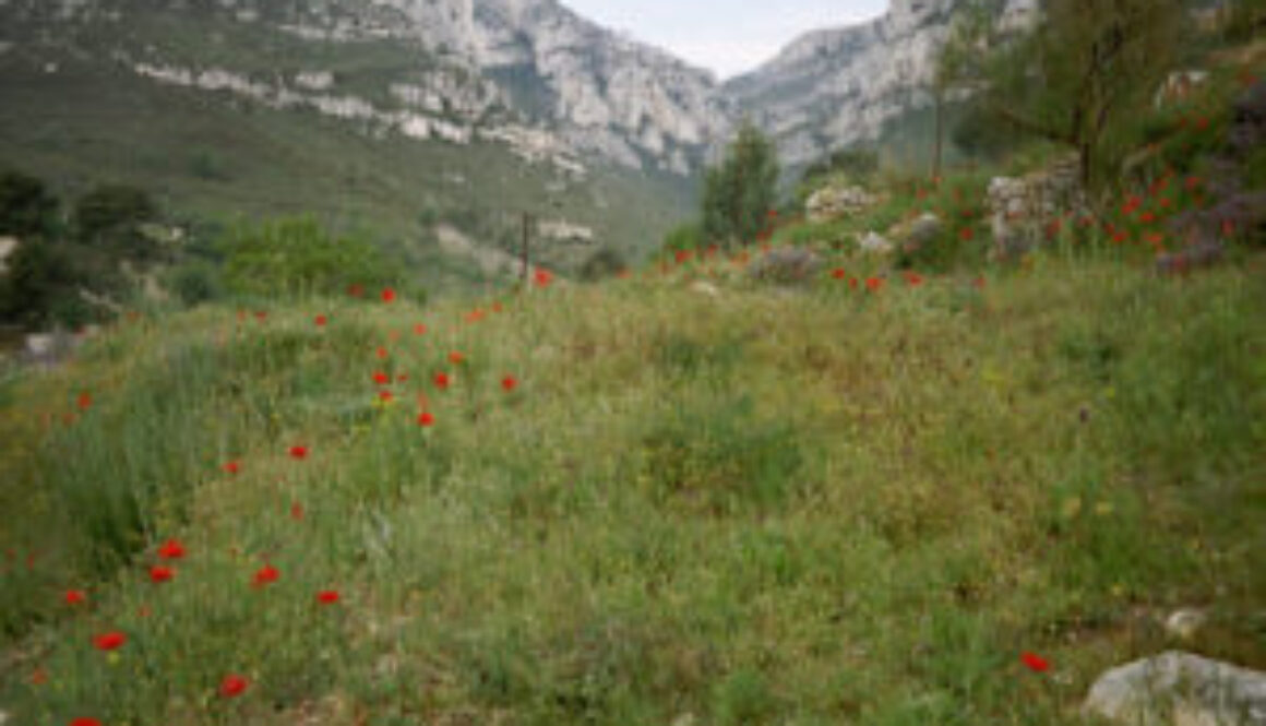 provence am garlaban