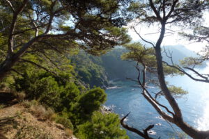 var bord de mer