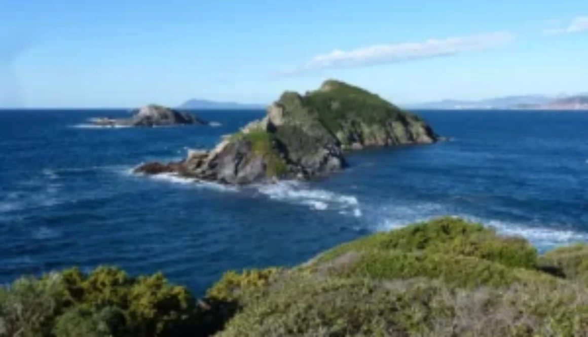 var Inseln vor giens